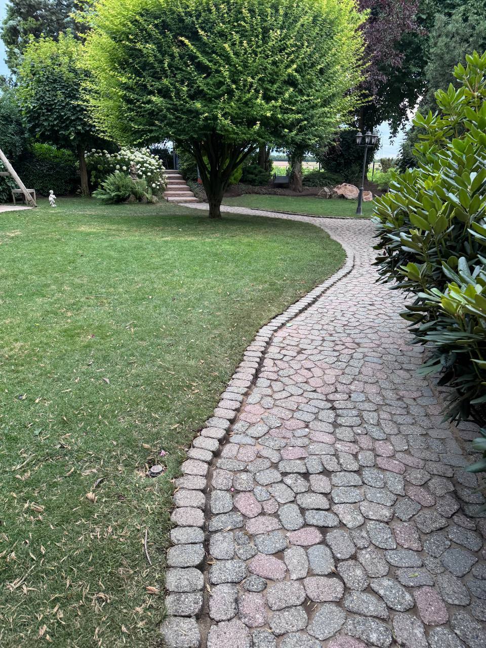 Kopfsteinpflaster Gartenweg nachher gereinigt